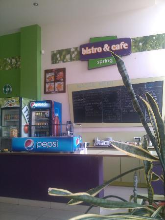 Spring Bistro & Cafe